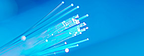 Optical fiber